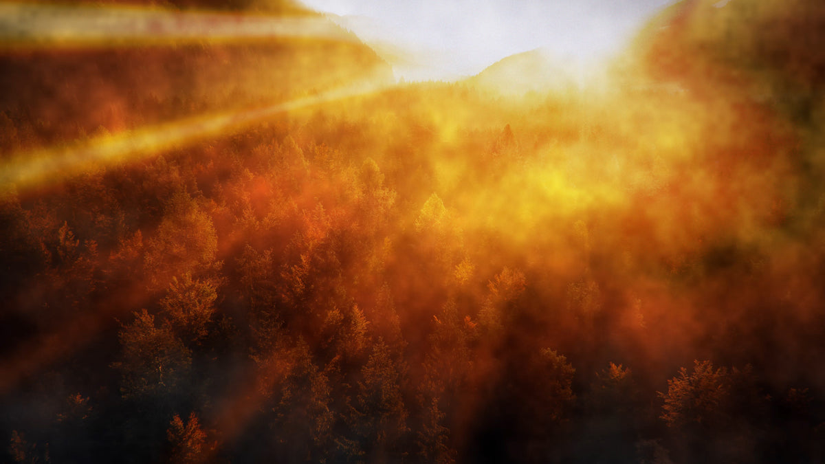 Thanksgiving Light 01
