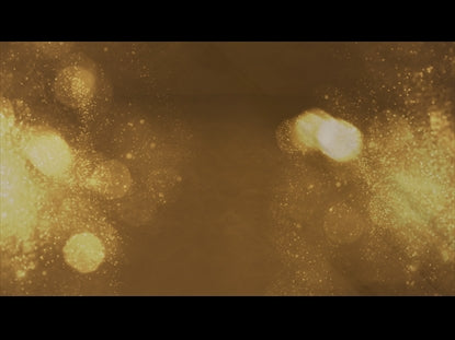 Discover Grace 13 Motion