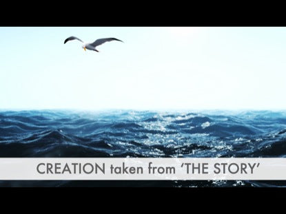 Creation: The Story