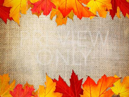 Autumn Leaves Still 2