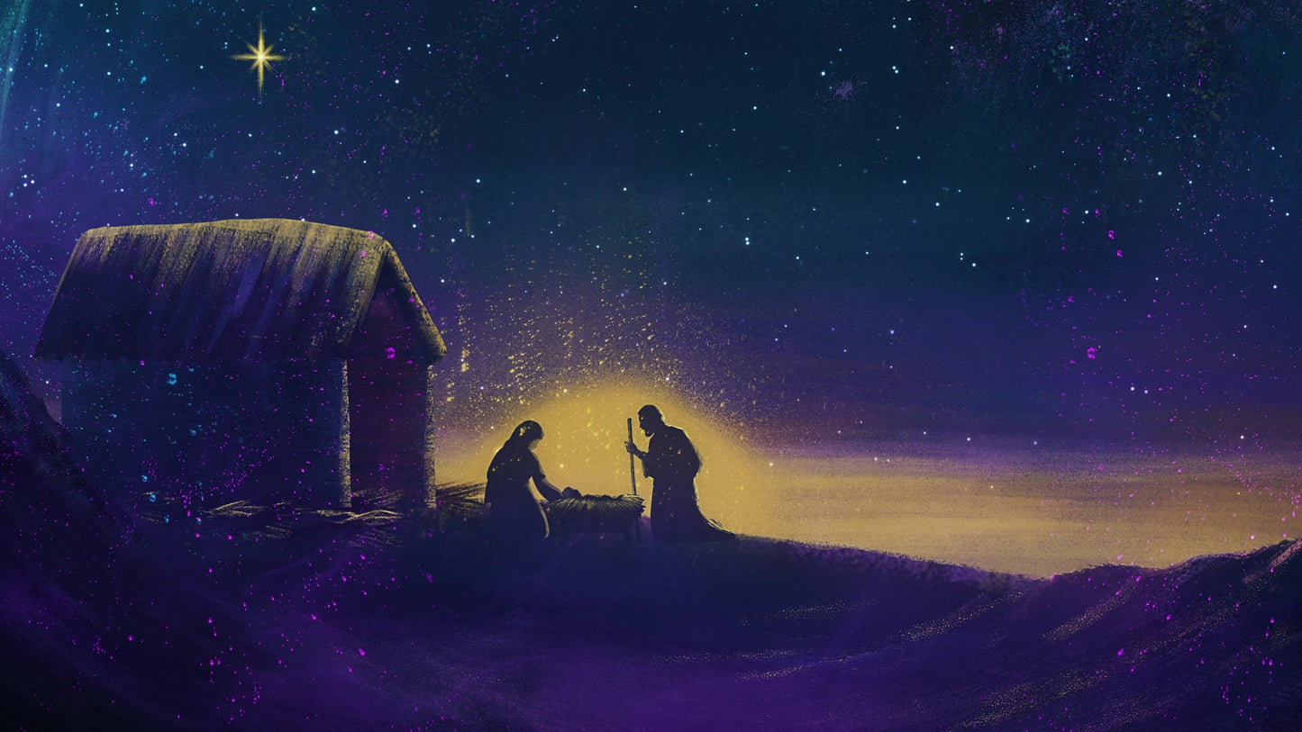 Radiant Christmas: 03 Still