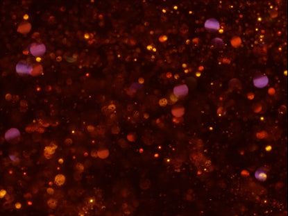 Snowglobe Lava Flow