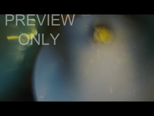 Bright And Beautiful Still 07