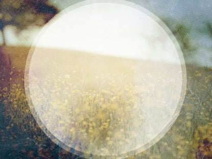 Spring Forward 2 Motion