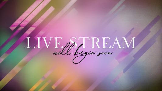 Spring Journey Live Stream Still