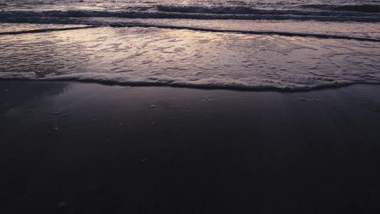 Spring Nature Motion 13