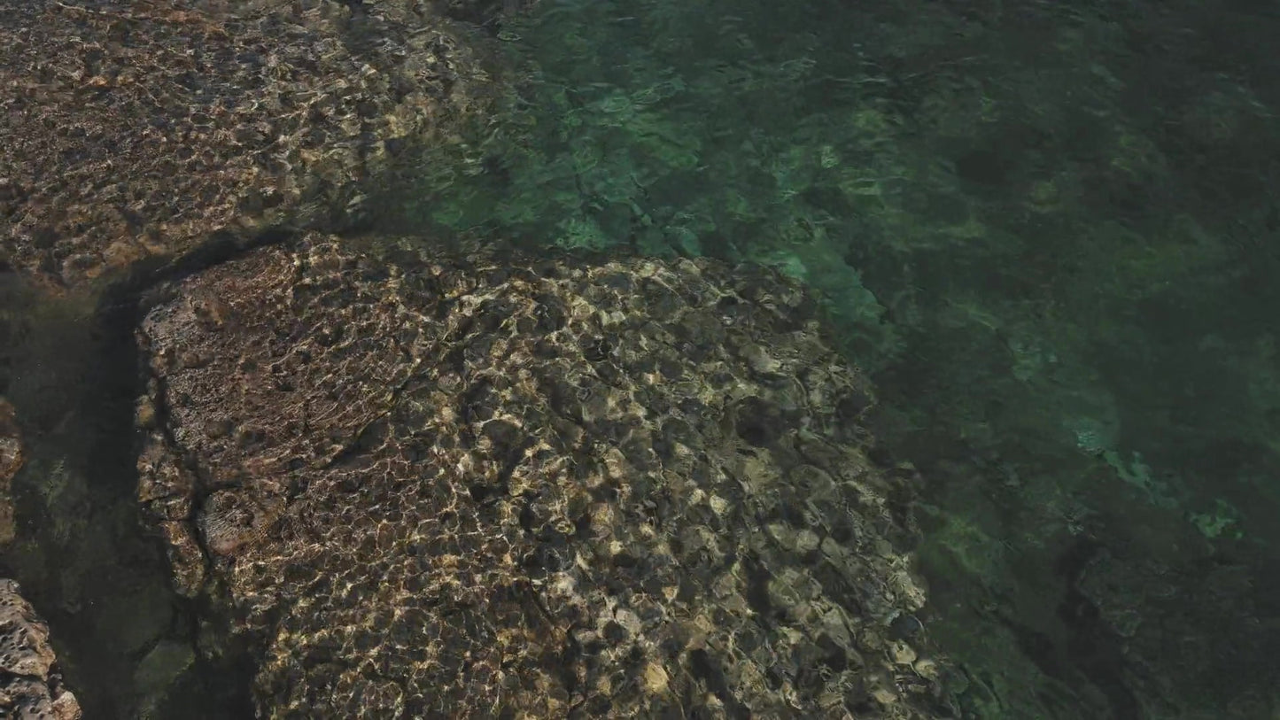 Northern Shores 3 Still