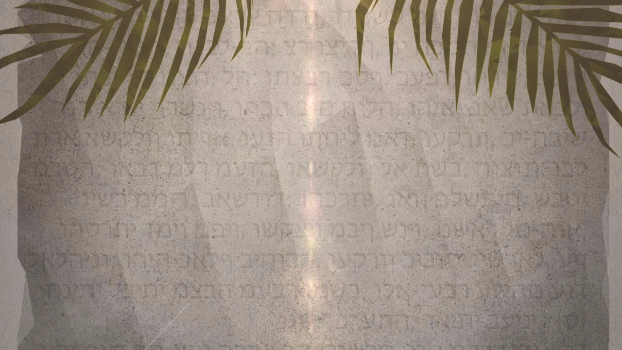 Palm Sunday Worship Scripture Still