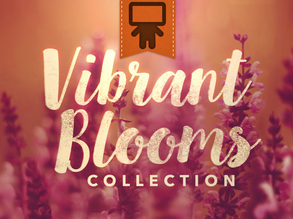 Vibrant Blooms Collection