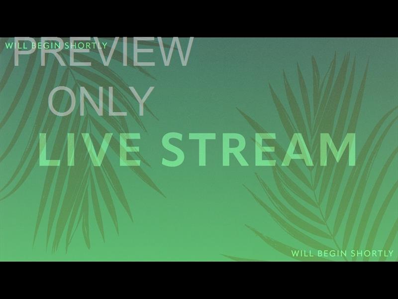 Risen Palms Live Stream Still