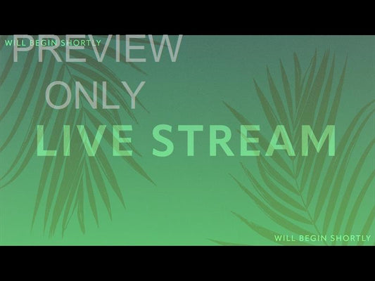 Risen Palms Live Stream Still