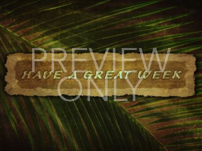 Ancient Palm Closing 1