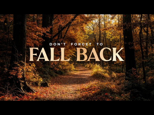 Forest Fall Fall Back