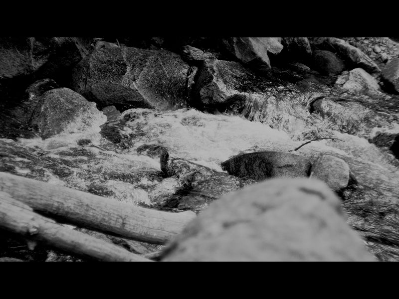 Black And White River 1