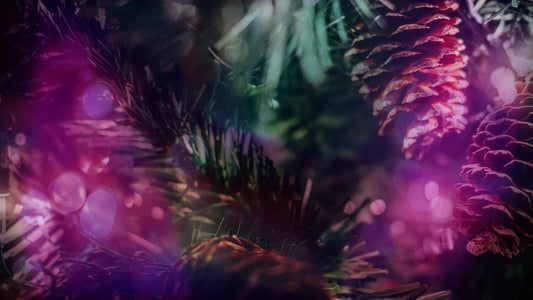 Christmas Light 04 Still