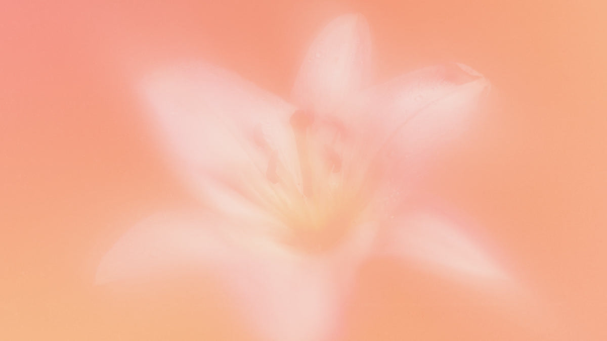 Living Hope Still 03