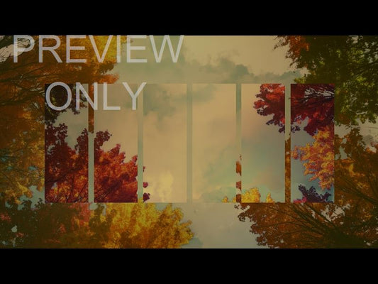Fall Trees 4 Remix Still