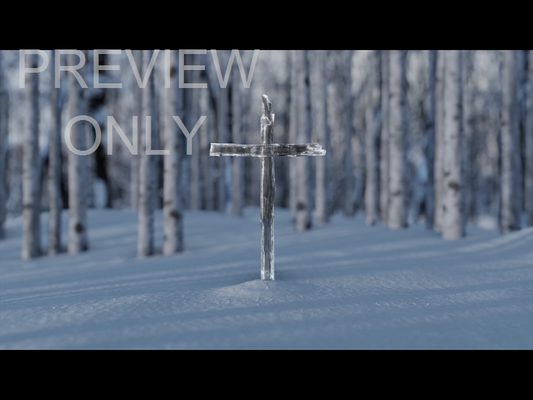 Christmas Joy: Still Cross 05