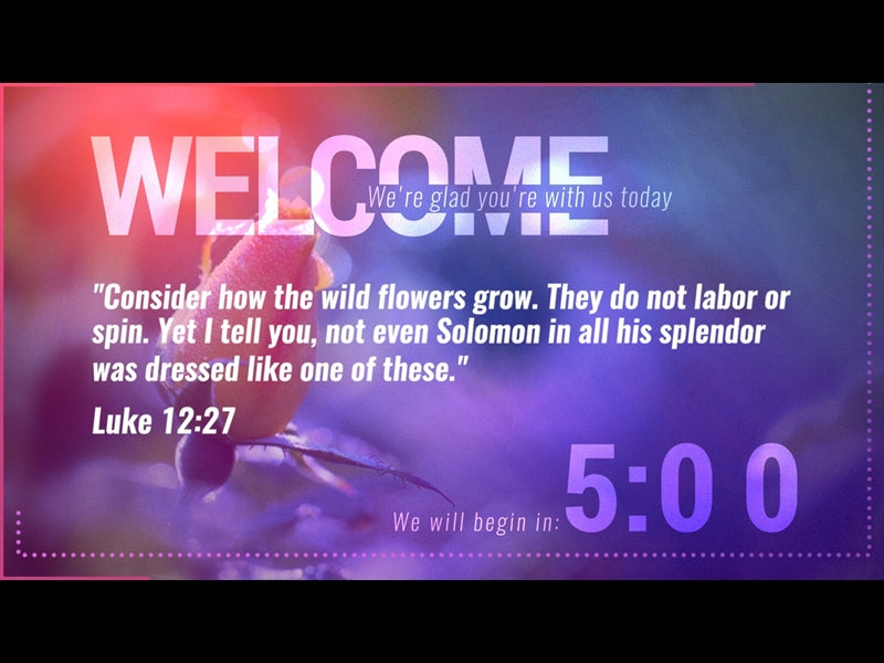 Consider The Flowers Countdown