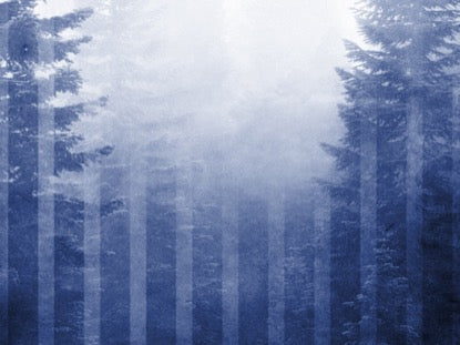 Calming Nature Blue 6 Motion