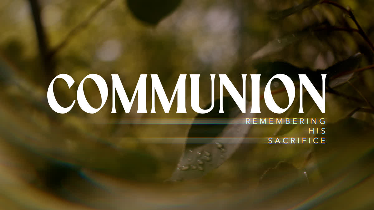 Like A Tree Still Communion