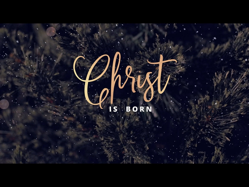 Christmas Tree Christ