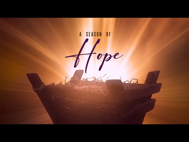 Christmas Manger Hope