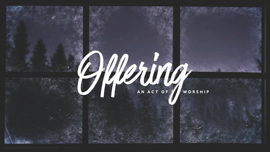 Christmas Windows Offering Still