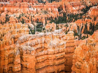 Orange Canyons