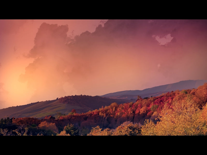 Wilderness Fall 3