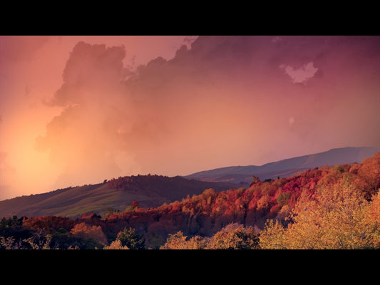 Wilderness Fall 3
