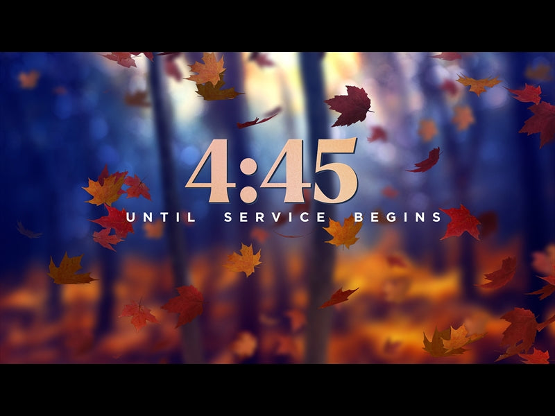 Fall Woods Countdown