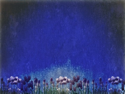 Mothers Day Tulips 4 Motion