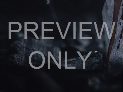 Resurrection 14