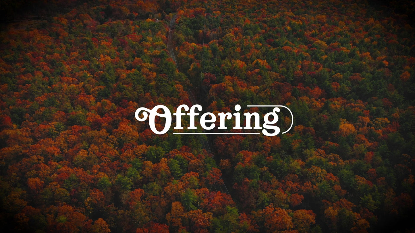 Autumn Colors Offering Still