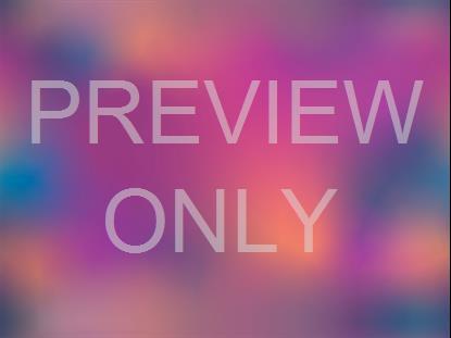 Neon Summer 20 Still