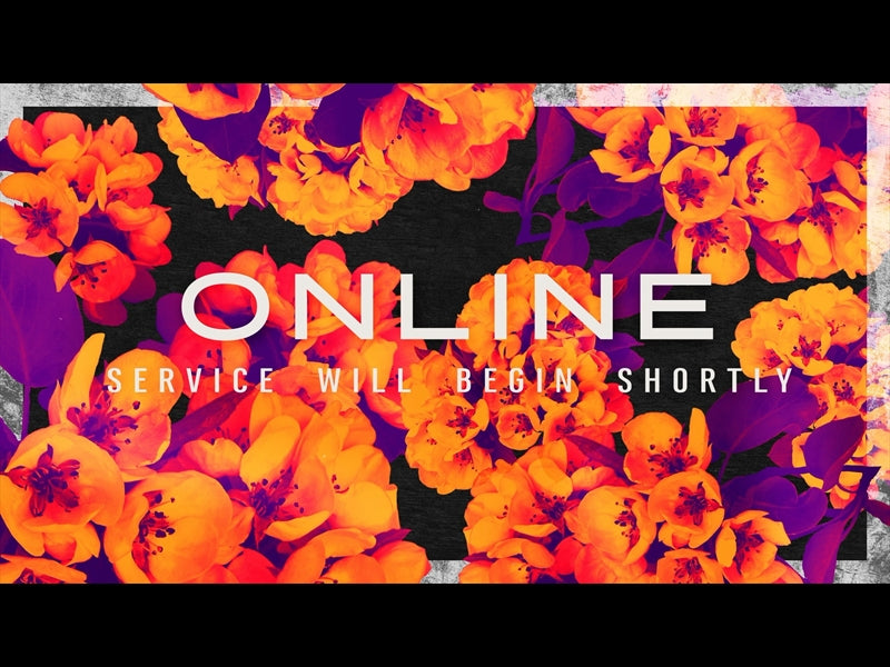 Bold Blooms Online