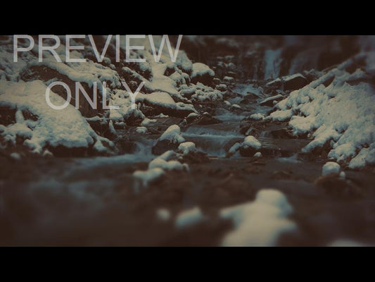 Journey To The Nativity Creek Still