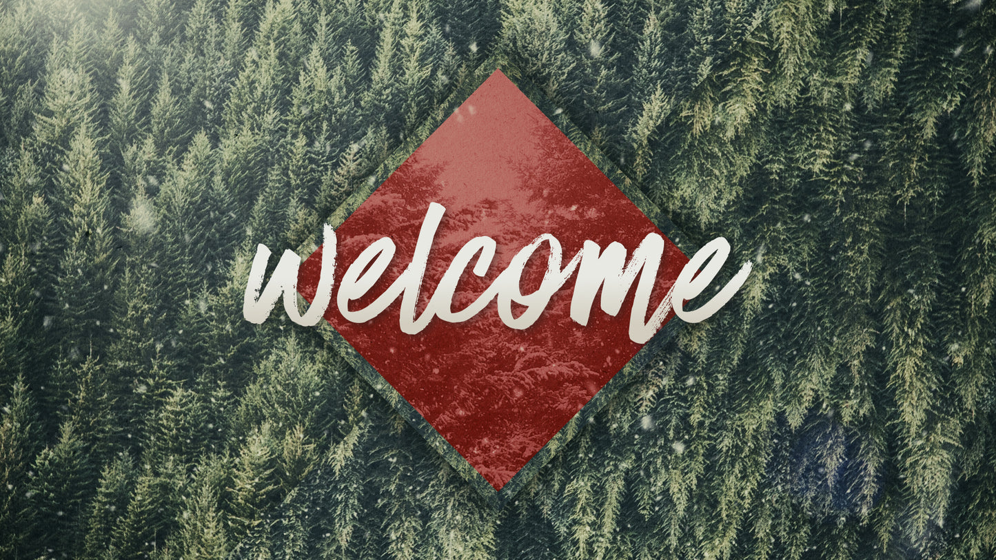 Christmas Forest Welcome Still