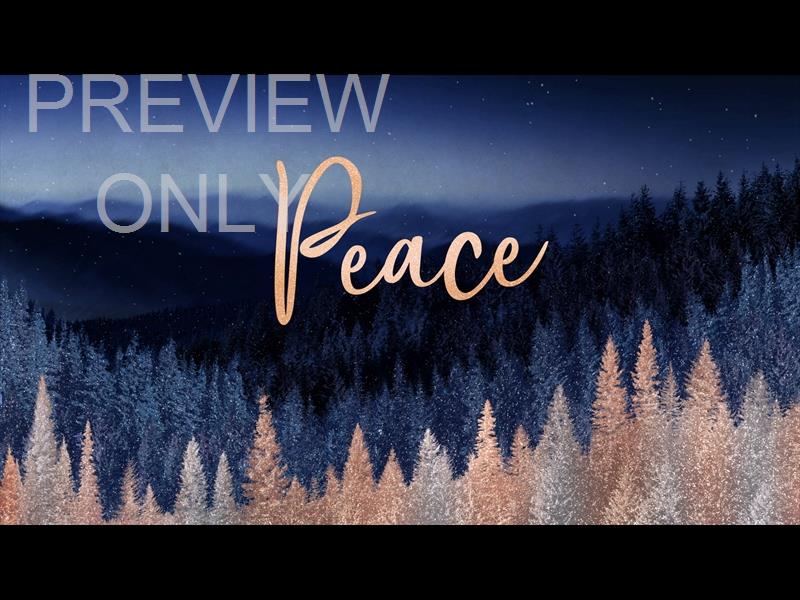 Sparkling Trees Peace Still