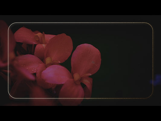 Ebony Floral: Loop 02