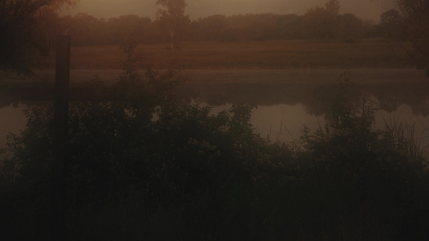 Nature Cross 2 Alt Still