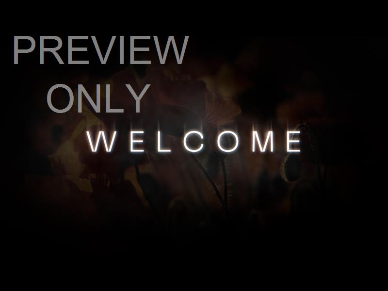 Honor Welcome 03 Still