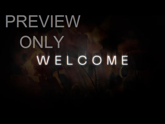 Honor Welcome 03 Still