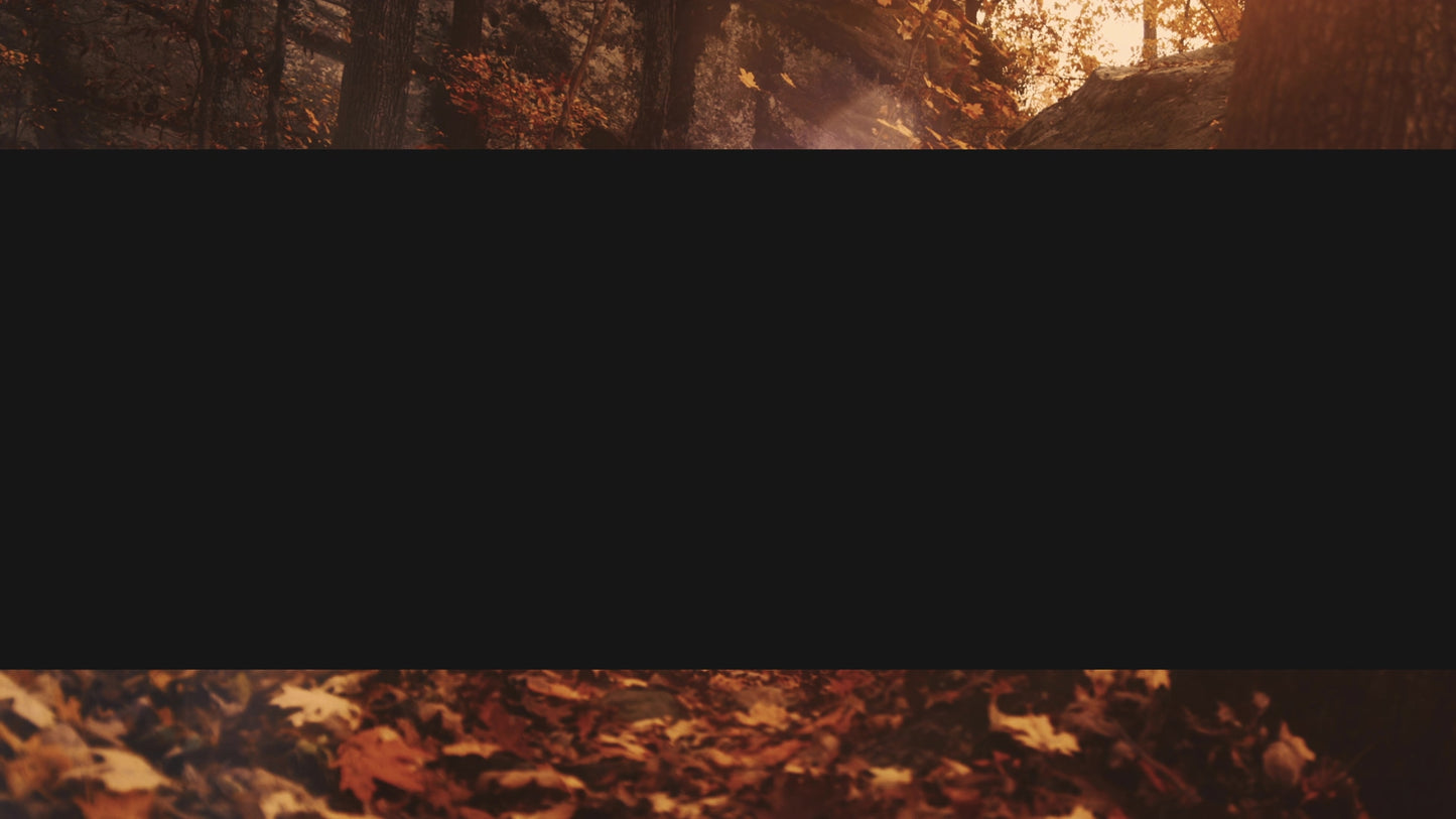 Autumn Dream Path Box