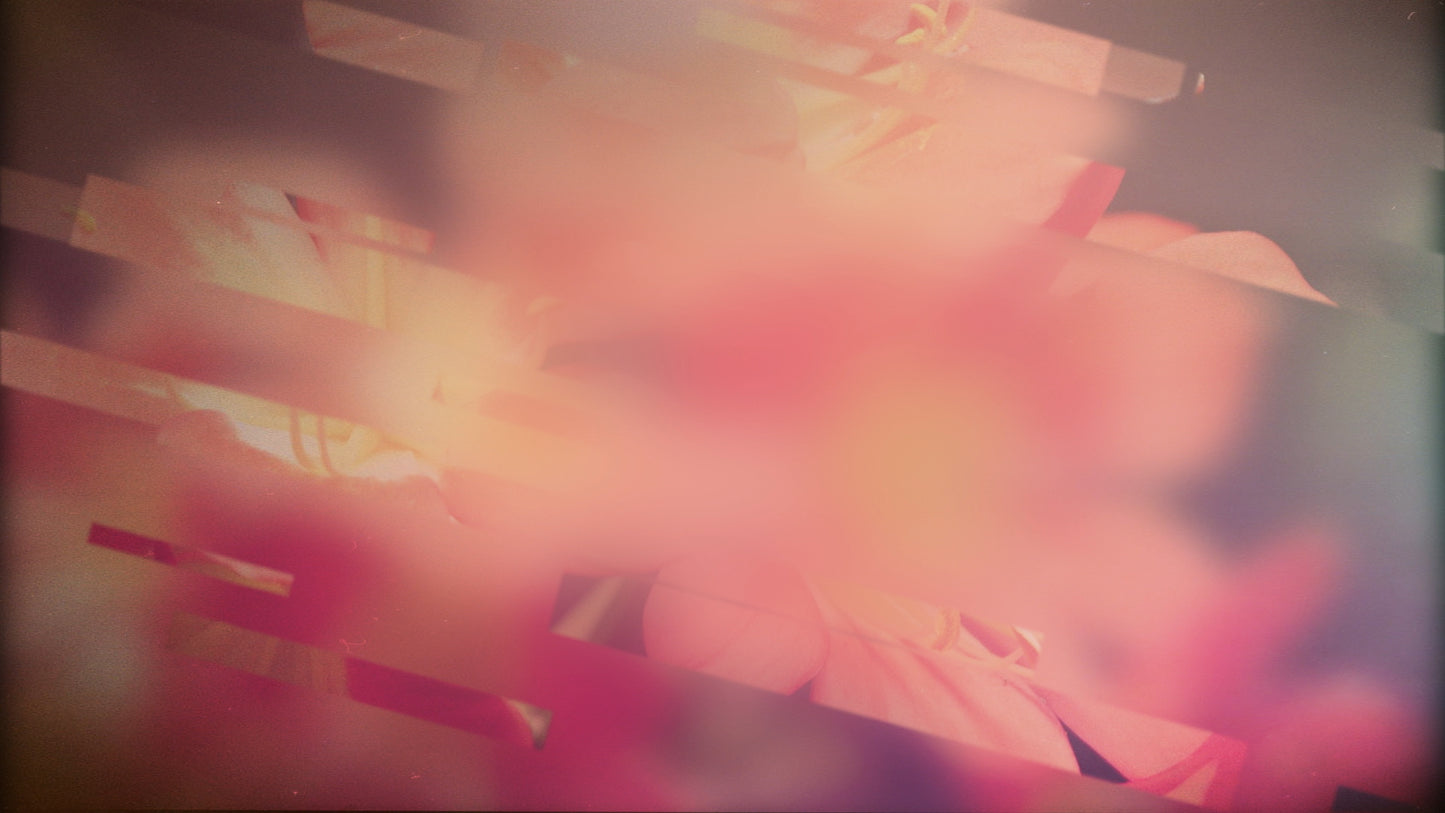 Spring Journey 02 Still