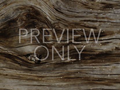 Wood And Particle Still 1