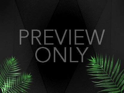 Palm Leaf 2 Still