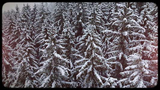 Retro Winter 04