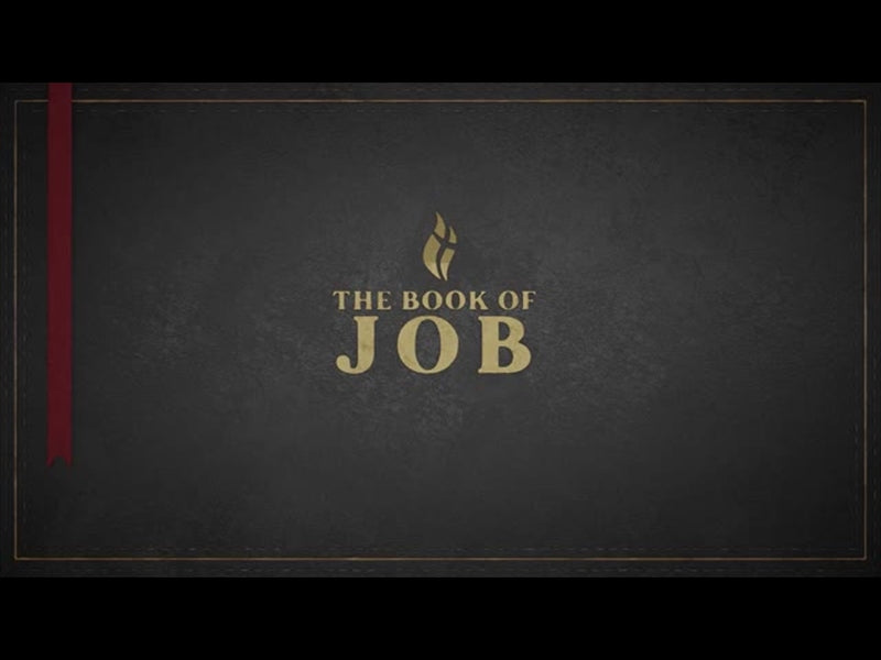 Job - Black